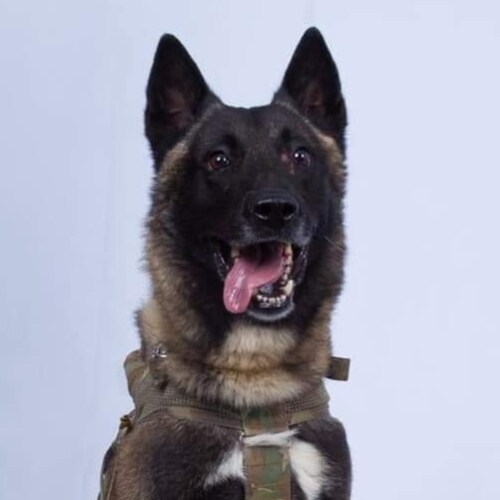 Visit colfirstnews2023's profile on GETTR. View their posts, photos, videos, and connect with them on the social platform.