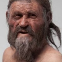 I'm more Anglo than Saxon.🏴󠁧󠁢󠁳󠁣󠁴󠁿🇬🇧🏴󠁧󠁢󠁷󠁬󠁳󠁿🇺🇸 I didn't want to live in Dystopian Sci-Fi, but here we ar...