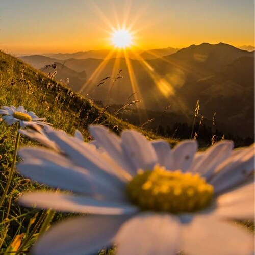 What does the Catholic Church teach?