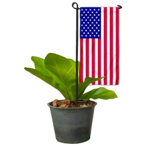 Conservative-MAGA-American Loving Patriot