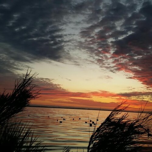 HOMOPHOBIC/TELL THE TRUTH/WON'T TAKE MY GUNS OR FREEDOM/ LIKE TO SHOOT DUCKS IN THE FACE/ GO RIGHT NEVER GO WRONG