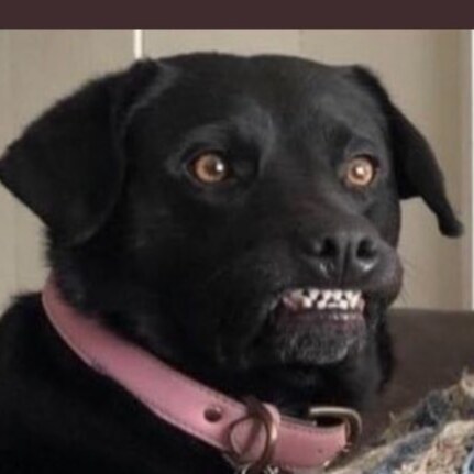 I'm a man with no plan.