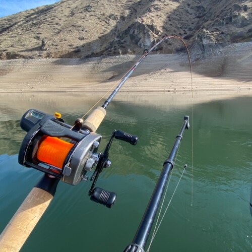 I service and repair fishing reels