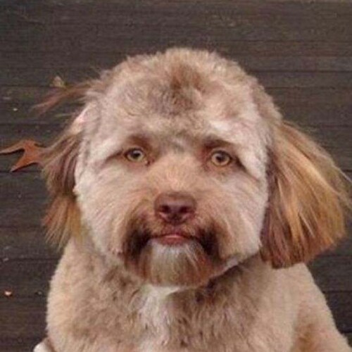 Applying Gen X's trademark nihilism to issues Gen Z cares deeply about.