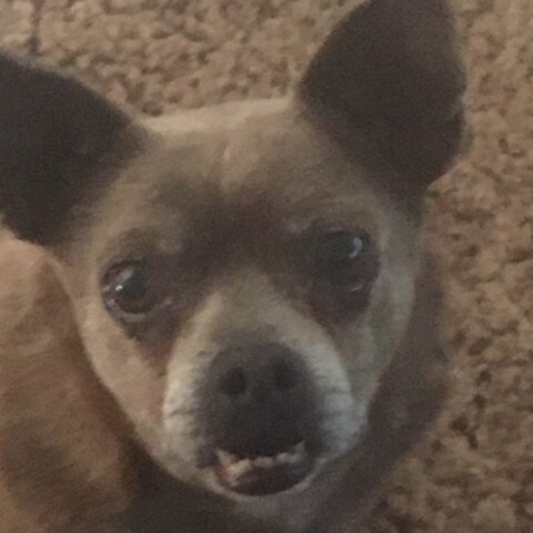 Smart people love bitcoin.