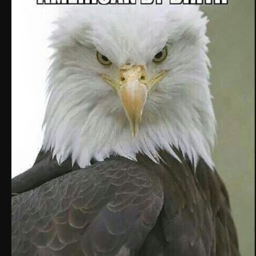 Wife; Mother of 4; Patriot; Dietitian