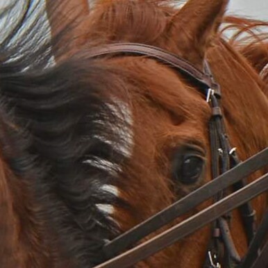 Proud American Patriot, Christian and glass factory worker