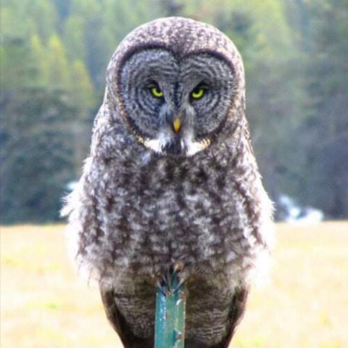 Living free, living with the right to exist