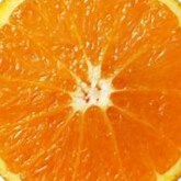 @RepJamesComer The fix is in and that's why you will NOT prosecute