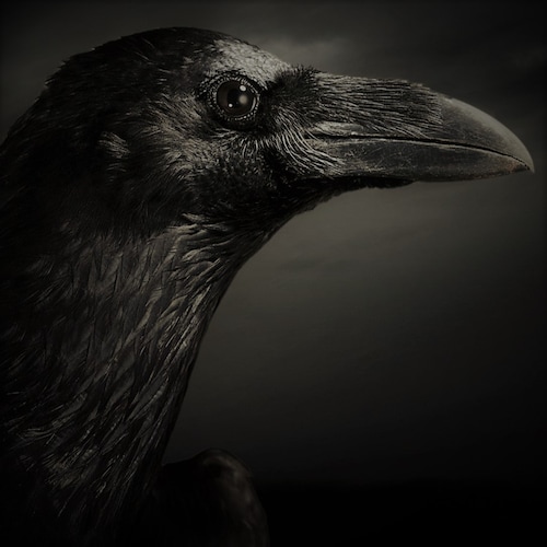 Over-educated over-read over-fed & fed up. Sick of neo-Fascists (Pantyfa) & Communists (liberals) undermining America. U...