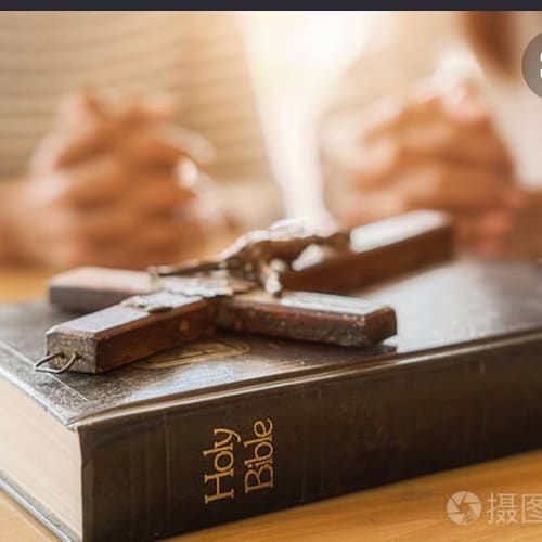 Thanksgiving🙏🐼🐼🐼