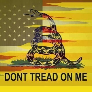 America First, Texas First, Trump Won, Term Limits, Covid Hoax, Viking Pure Blood, Let's Go Brandon! #IFBAP