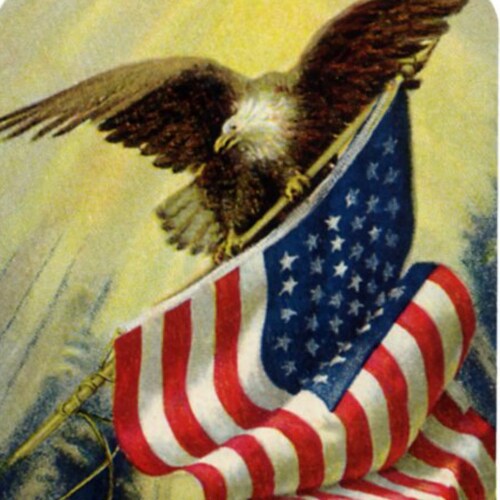 Conservador, Amo a los Estados Unidos de America.