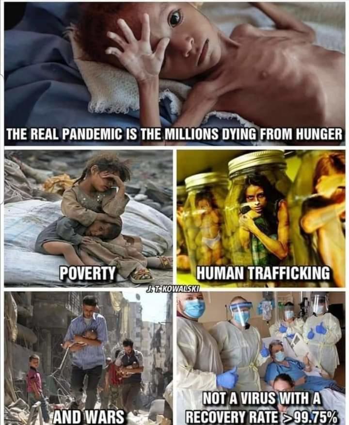 View ULTRA-MAGA Nor Voom's post on GETTR. Join the discussion, share your thoughts, and connect with the community.