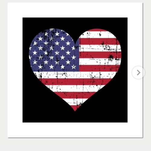 Maga Patriot!  🇺🇸 Sick of the censorship & propaganda! 🇺🇸 Save America! 🇺🇸💪 Save the children! #endtrafficking