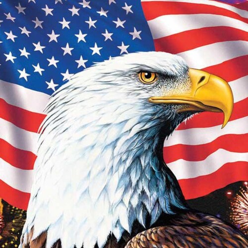 Patriotic American that believes in American exceptionalism, the constitution and the rule of law.