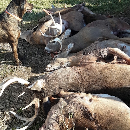 11b artic light vet grandpa machinist tool/maker hate commies