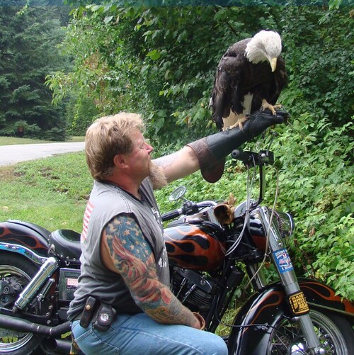 American, Constitutional Conservative, Biker & Trucker