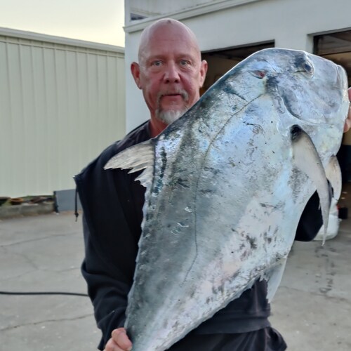 Retired NYPD Lt. I was raised in NY but currently reside in Sarasota Florida.