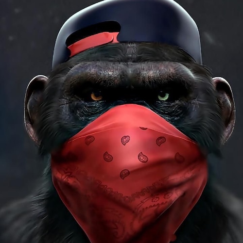 新中國聯邦人，為自由而戰，為還未覺醒的中國人民和世界人民而戰，為Take Down The CCP而戰！