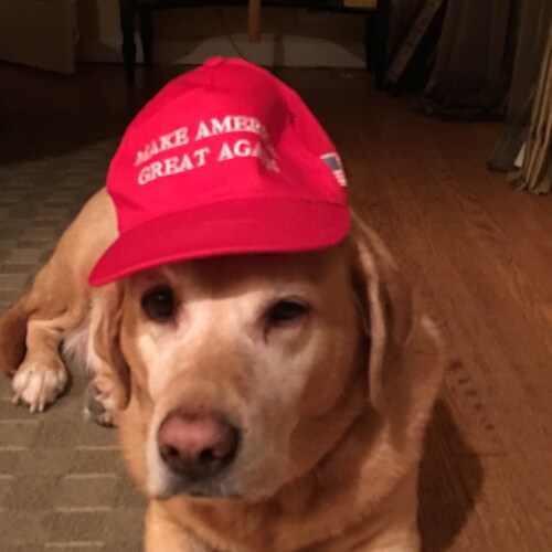 Patriot Mom🇺🇸 Dog Lover 
Support Police Fire Ems Military.