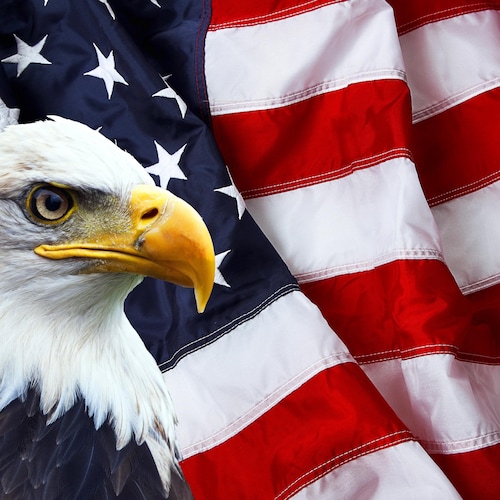 Visit paulerever🐎's profile on GETTR. View their posts, photos, videos, and connect with them on the social platform.