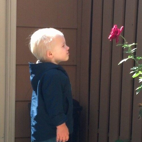 Taking it one day at a time…good coffee and good music help…Opinions are my own