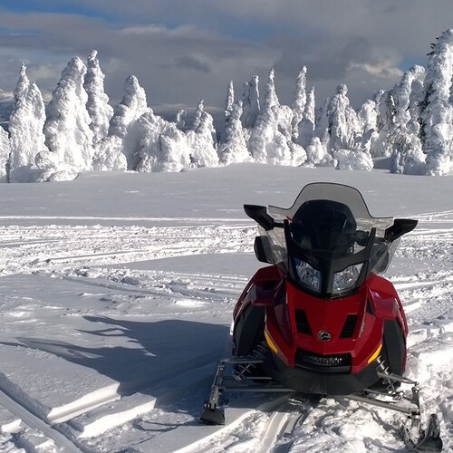 Support law  enforcement, military, conservative views. Demand election integrity/accountability, protection of the 2nd ...