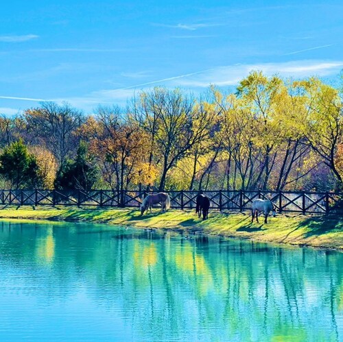 ⚓️US Navy Special Intel Vet⚓️
🐴Texas Horse Ranch Owner🐴
👨‍👩‍👦‍👦Husband•Father•Grandfather👨‍👩‍👦‍👦
🇺🇸🦅🇺🇸#MA...