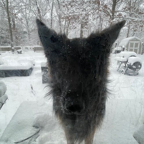 🇺🇸🇺🇸🇺🇸