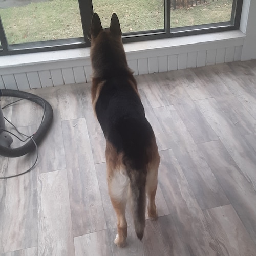 Visit r2d2kuhl's profile on GETTR. View their posts, photos, videos, and connect with them on the social platform.