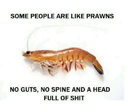 @mikesplace Nah mate, he's a prawn, head full of shit. 