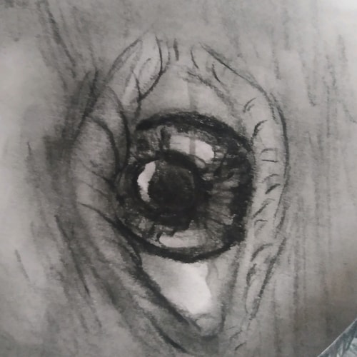 A traveling pilgrim with a vice for punditry and Liberty. America will only become what she prepares to be. Here is to p...