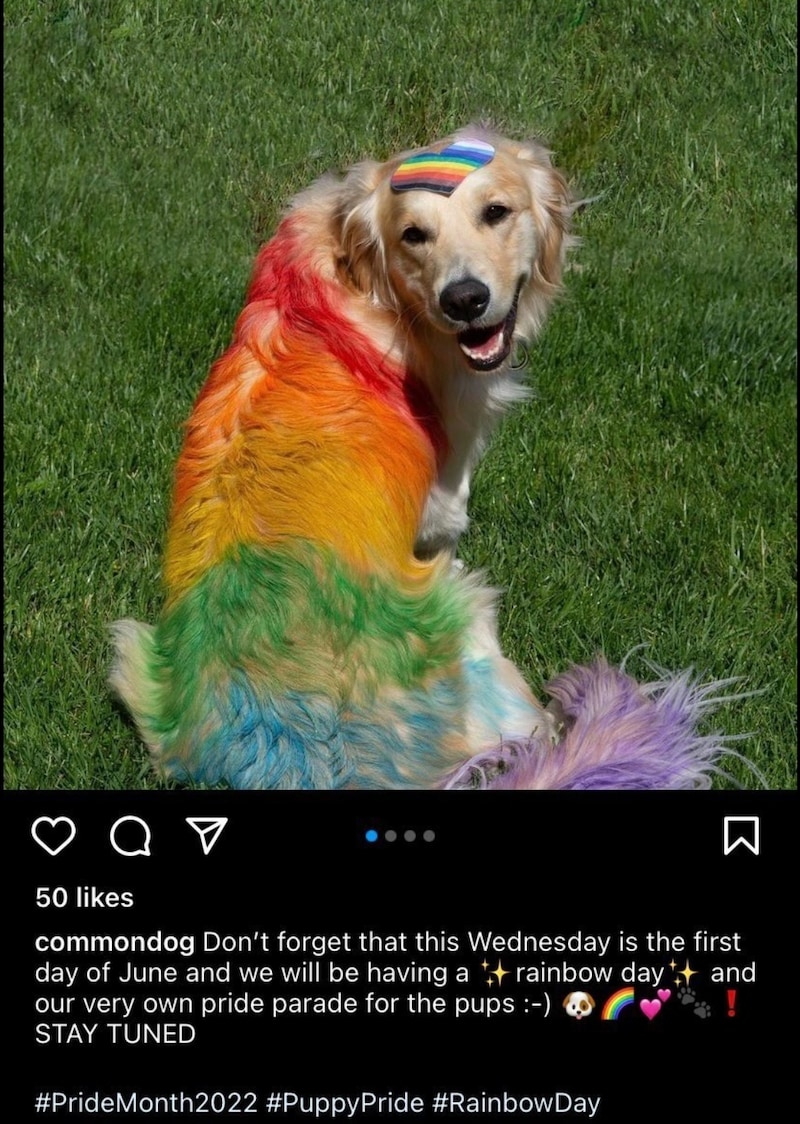 You can't even send your dogs to doggie daycare without worrying about them getting indoctrinated no...