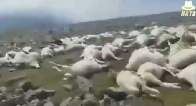 💥👀WAKE UP PEOPLE! PLANNED FOOD SHORTAGE!???