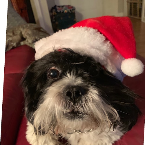 Patriot, USN retired, Trump won! I follow back Patriots