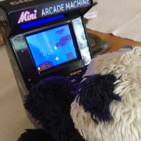 Private client fund manager, London. Author, 'Investing Through the Looking Glass'; 'The War on Cash' (2015). Keep the f...