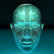 Visit Blakenator's profile on GETTR. View their posts, photos, videos, and connect with them on the social platform.