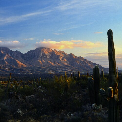 Truth Seeker -- Freedom Lover -- Self Made -- Nature &gt; Man-Built