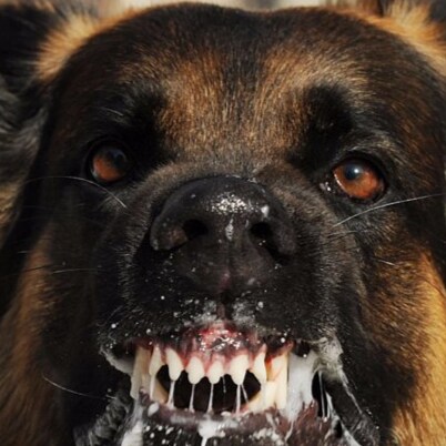 California Born, Absolutely not letting the sickos force me out. GOD wins!