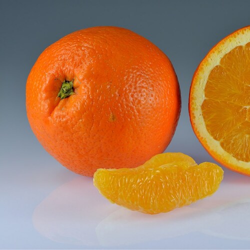 American Republican,,Direct Mayflower Descendant, MAGA , BBQ Cook , Chevy Owner . Retired ,USA First , #FJB,Throw out th...