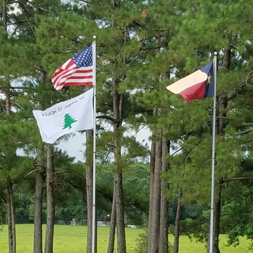 East Texan, Christian, conservative, liberty-lover, freedom fan, military supporter, law enforcement supporter, NRA Bene...