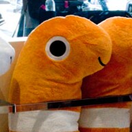 Visit BidenWon's profile on GETTR. View their posts, photos, videos, and connect with them on the social platform.