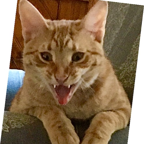 If You Don't STAND UP, You Don't Stand A Chance.