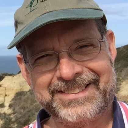 Retired IT Executive