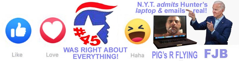 WE AGREE...#45 was right about everything!
@laralogan @JackPosobiec @PamelaGeller @ChatByCC @kimKBaltimore @NatalieJHarp @EmeraldRobinson @benkew @cat