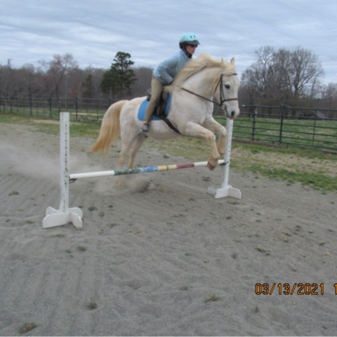 Visit IonBug's profile on GETTR. View their posts, photos, videos, and connect with them on the social platform.