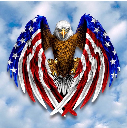 Visit FreedomLovinMoe's profile on GETTR. View their posts, photos, videos, and connect with them on the social platform.