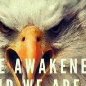 WWG1WGA/NCSWIC 🇺🇲❤️MAGA/AMERICA FIRST/SAVE AMERICA! GOD WINS. GOD/FAMILY/COUNTRY. AWAKEN! MAKE AMERICA GREAT AGAIN...A...