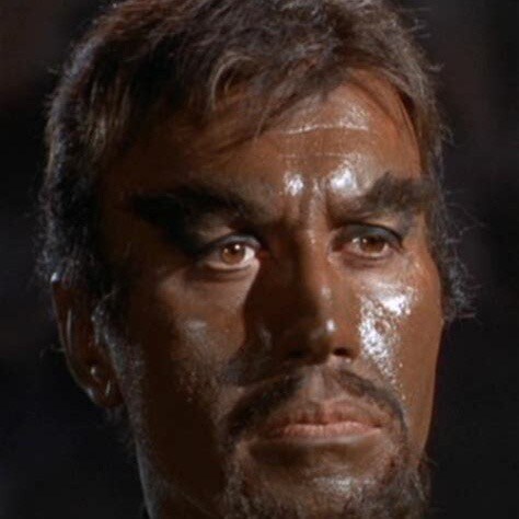 Klingon. Using #GoBrushYourTeeth as the new shut up. Hockey fan. Happy to have a team. At my first opportunity, I’m goin...